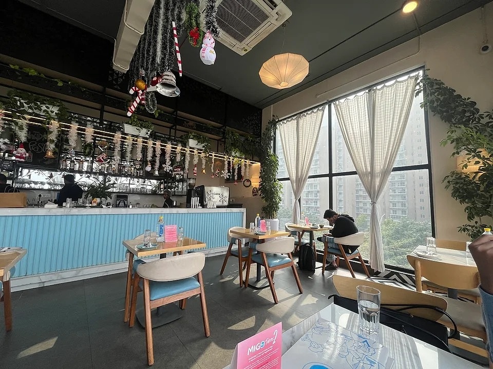 House-of-Migo image 3